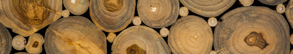Timber Material Quantities Calculator